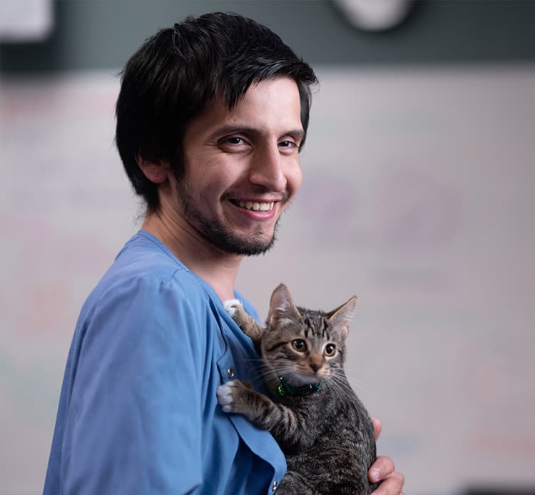 SJVC兽医辅助职业指南